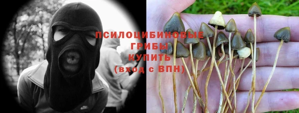 дурь Волосово