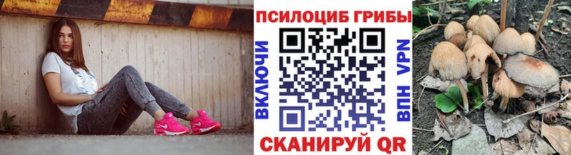 Галлюциногенные грибы ЛСД купить наркотик Каменногорск